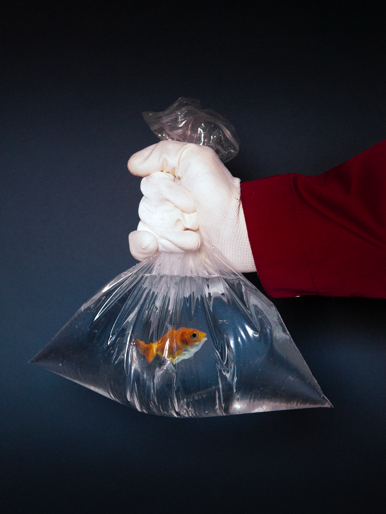 A GUIDE TO THE APOCALYPSE