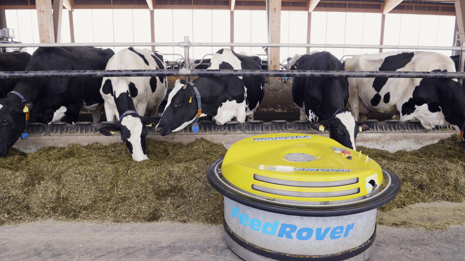 hungry bytes - Essen wird digital