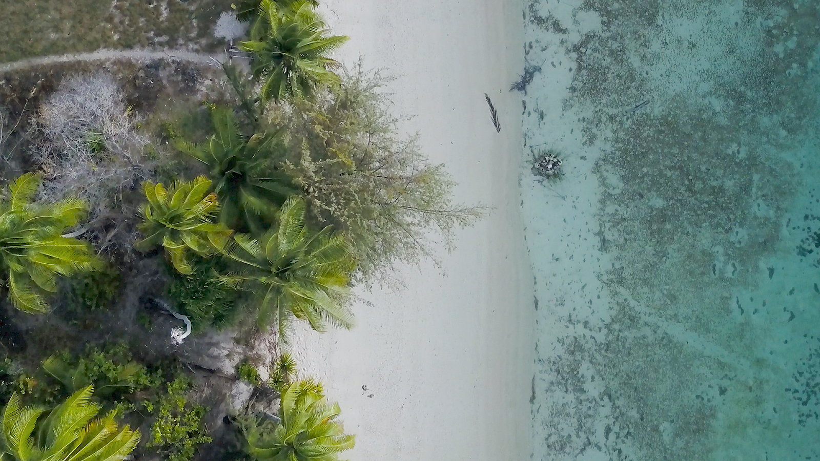 Losing Paradise - Ein Inselparadies geht unter