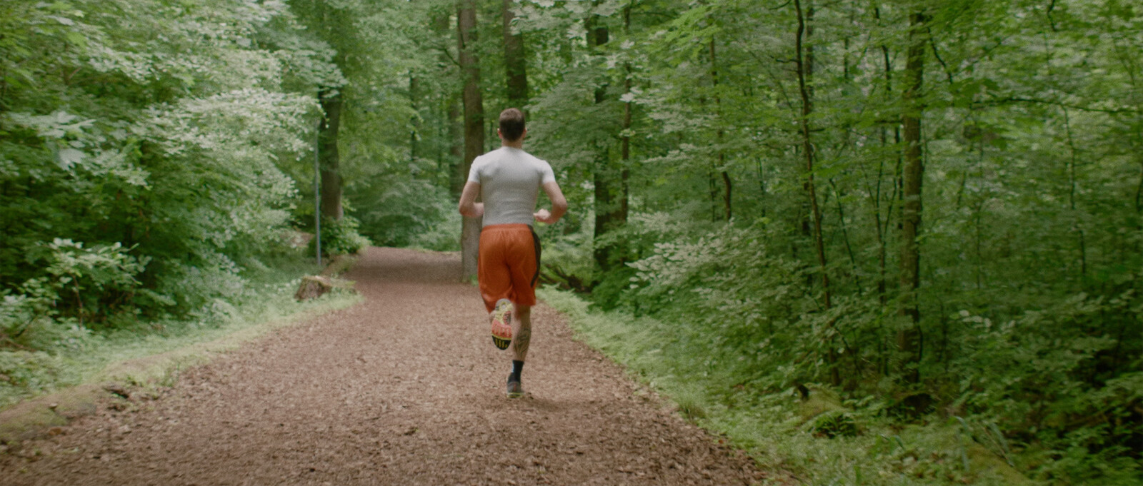 BALBOA STORIES - Einblicke in ein neues Fitness-Konzept