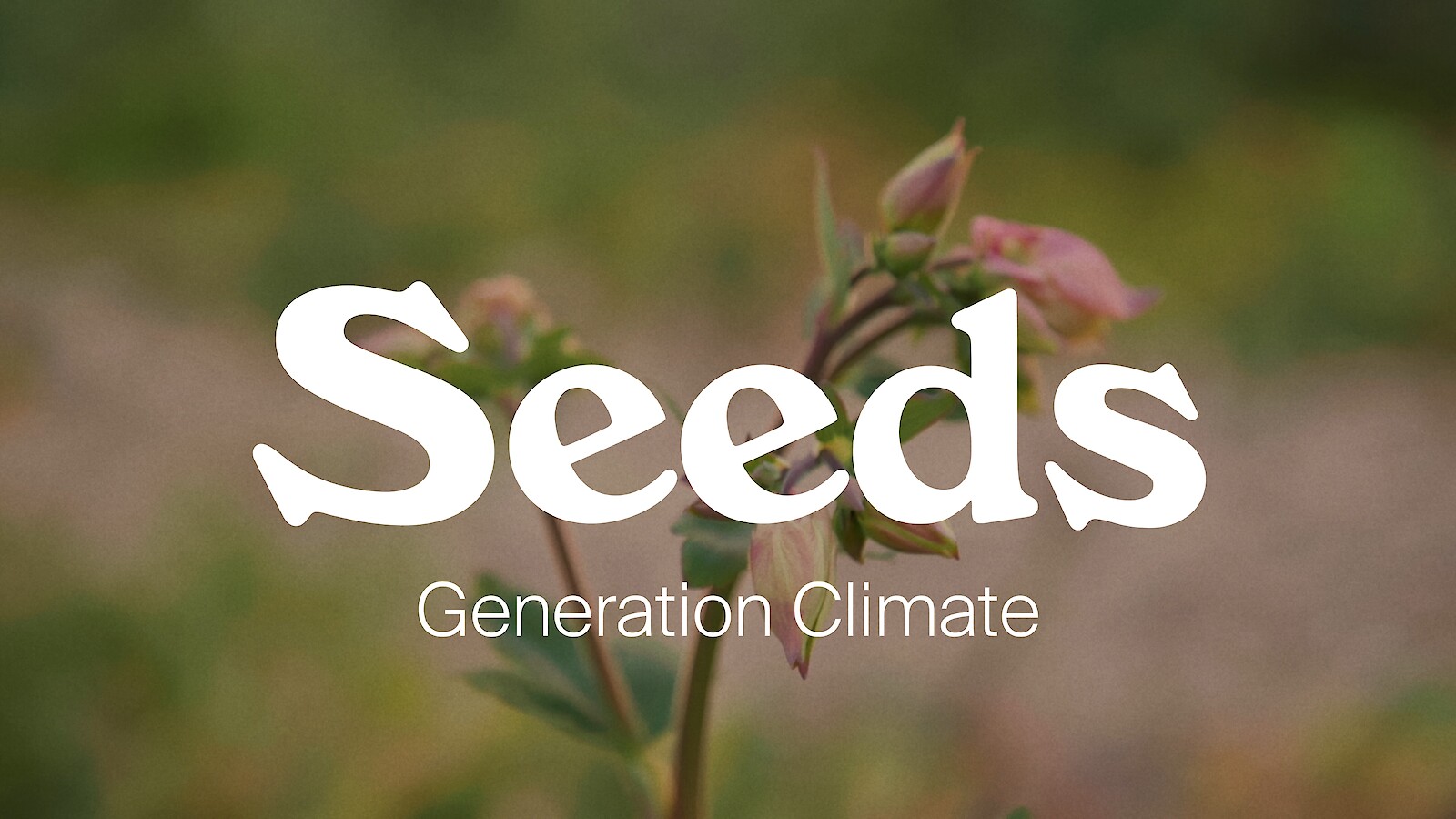 SEEDS - die internationale Klimajugend im Portrait