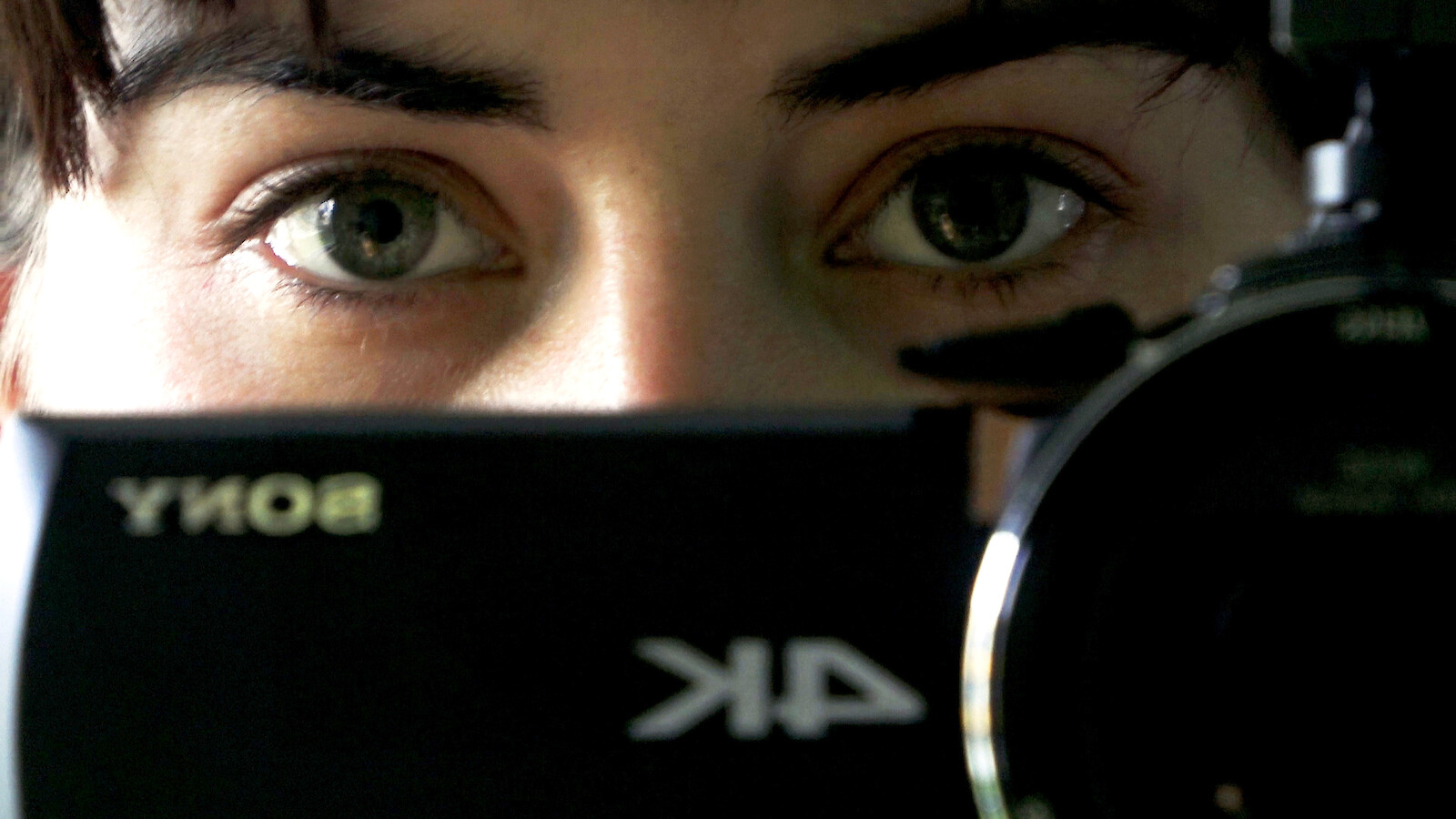 Es Härzeli wienes Vögeli