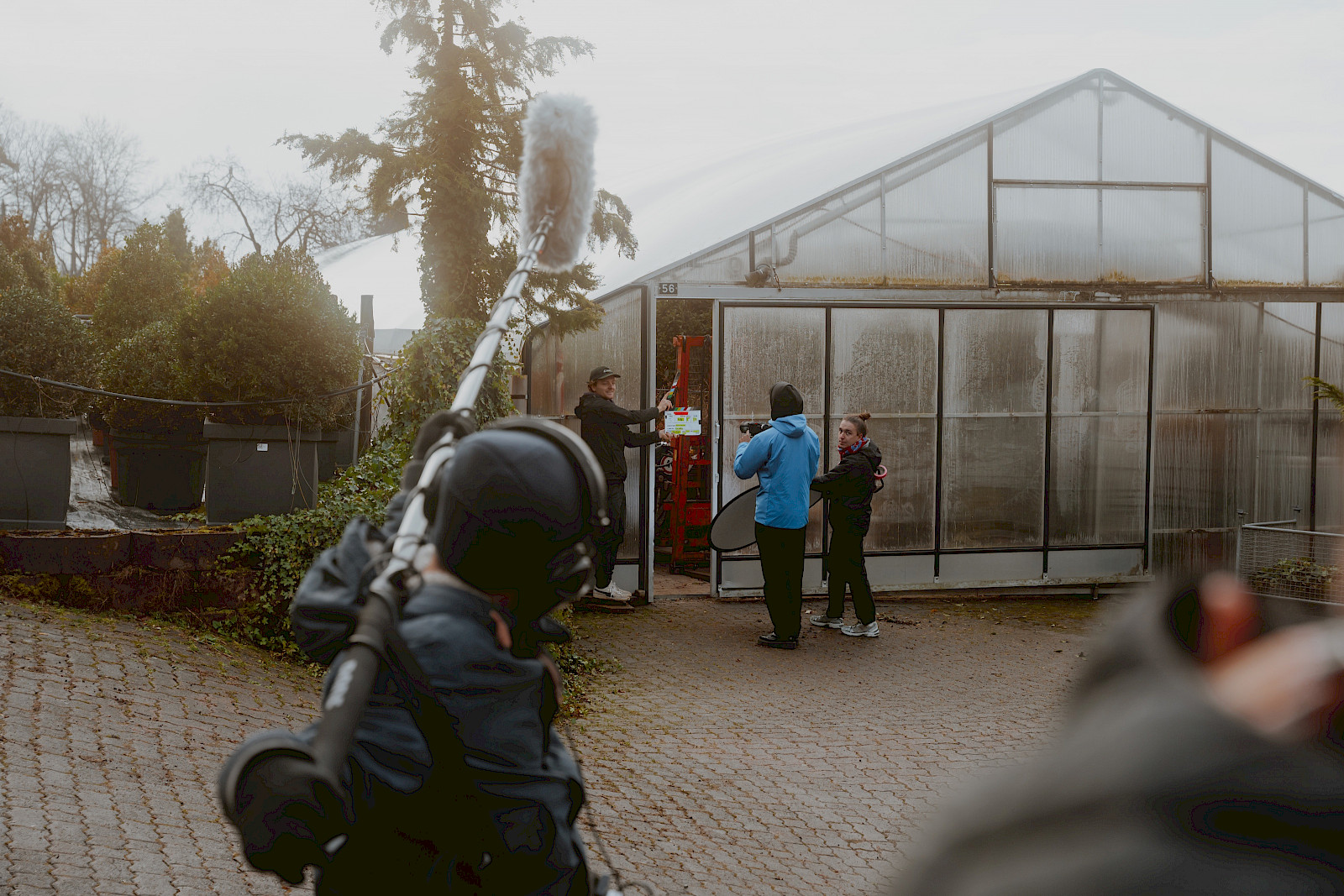 Baumageddon - Don't become a tree